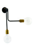 LAB 2 Arm Industrial Brass Wall Light